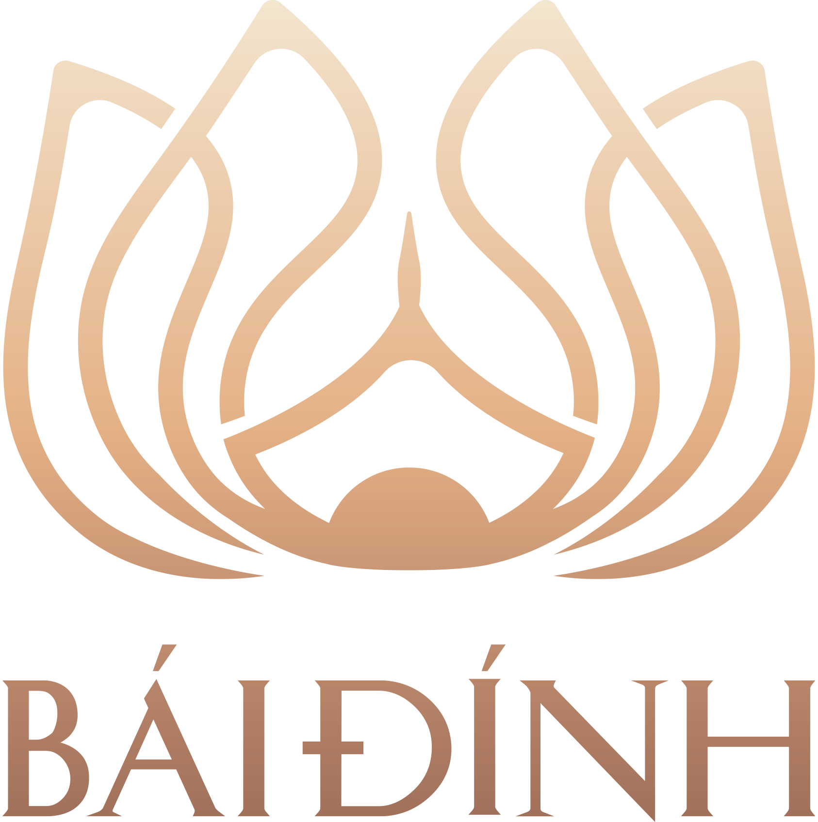 baidinh